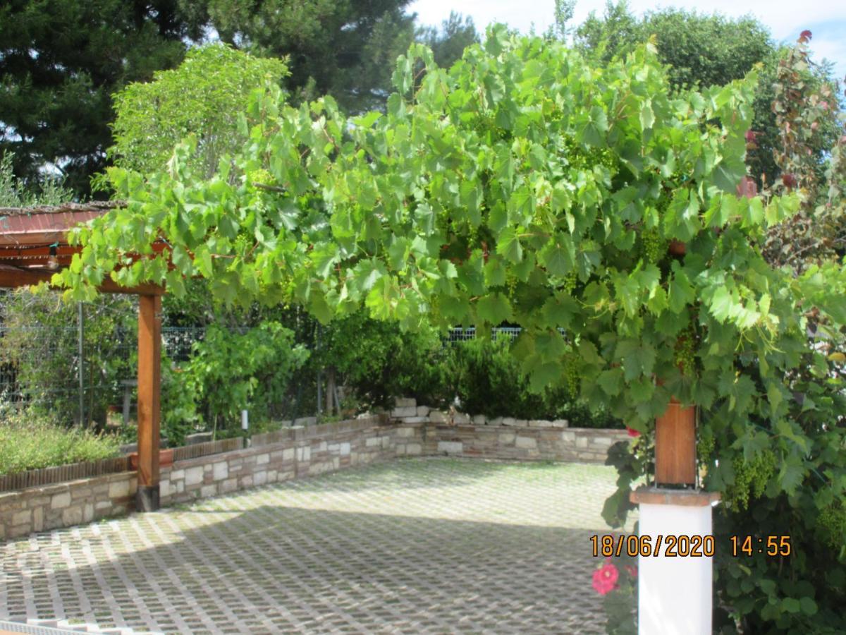B&B Capo Le Vigne Sirolo Exterior photo